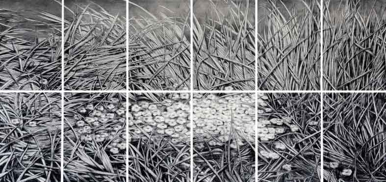 Galerie.Z: Rainer Wölzl - "Gras des Vergessens", 2008/09, 200x 420 cm, Kohle/Papier